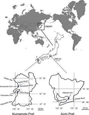 Genetic Diversity of Invasive Spartina alterniflora Loisel. (Poaceae) Introduced Unintentionally Into Japan and Its Invasion Pathway